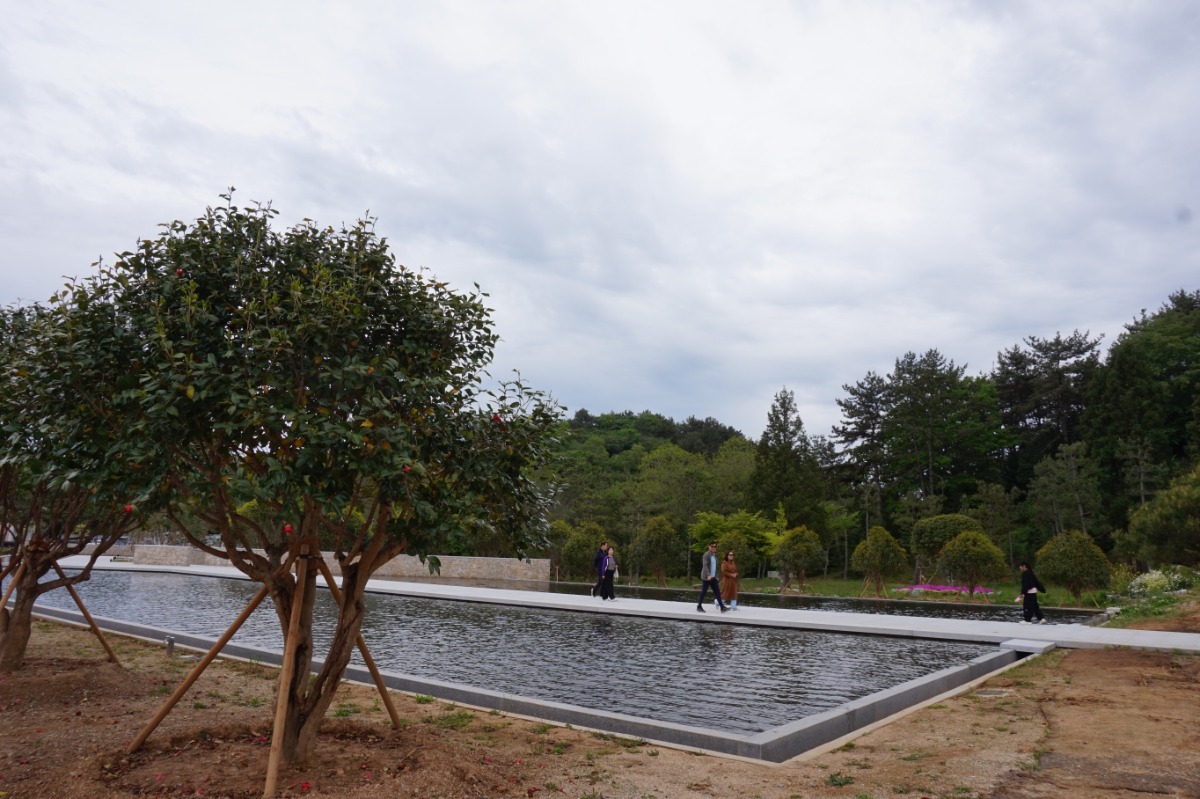 DSC05803.JPG