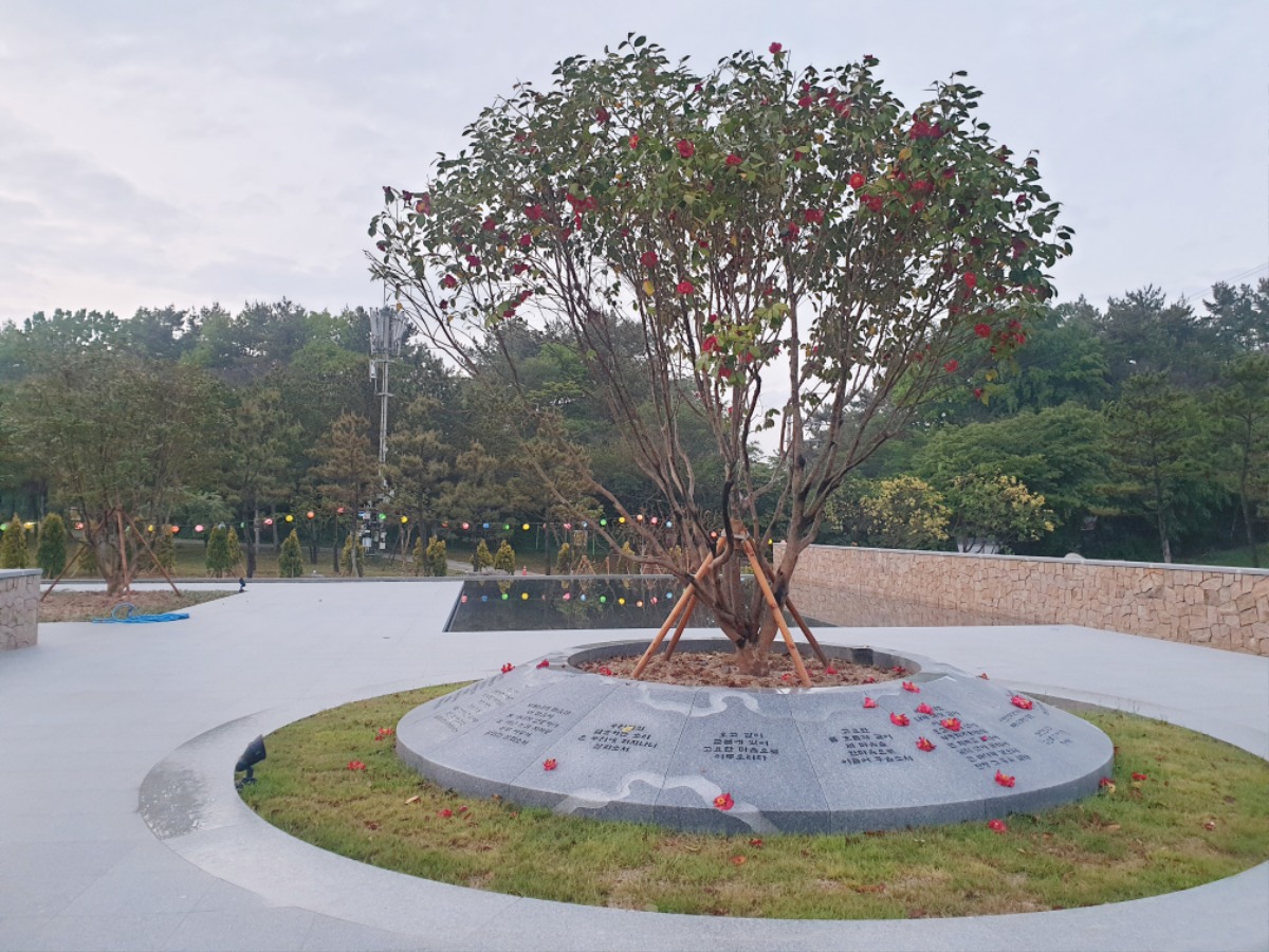 KakaoTalk_20250513_153816374.jpg