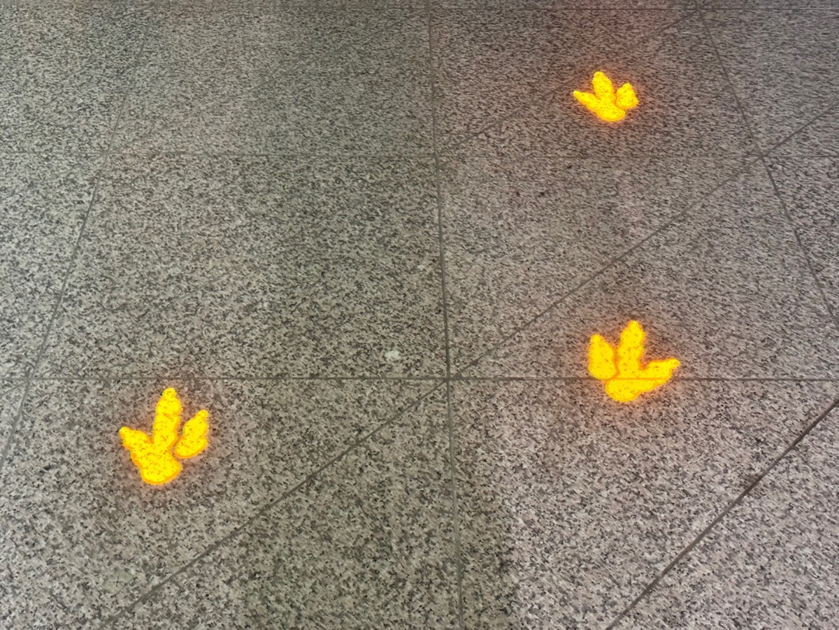 KakaoTalk_20250817_221139155_26.jpg