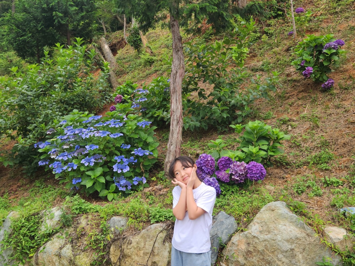 KakaoTalk_20260703_220949644_19.jpg