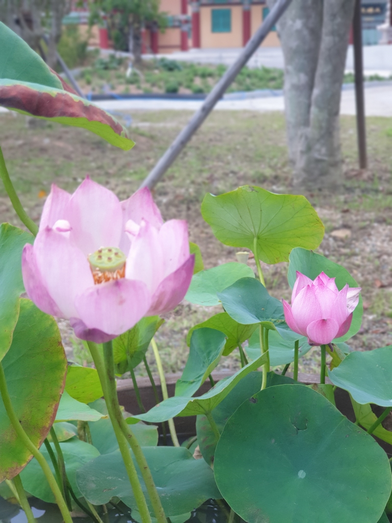축소_KakaoTalk_20260721_144001875_02.jpg